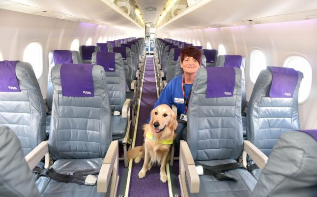 Cane, viaggio in aereo