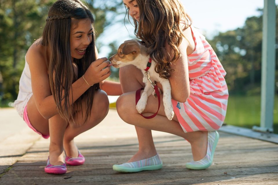 cane più affettuoso con i bambini